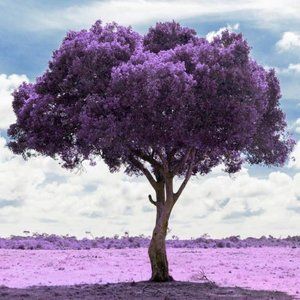 Meet your Posher, Krsitine